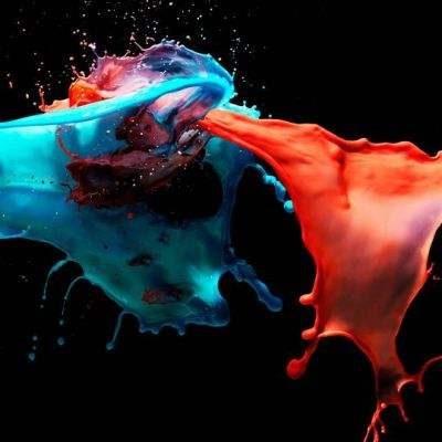 酱板鸭视频爆火 证明了谁才是真主角