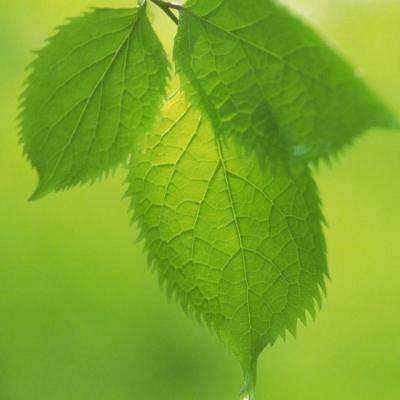 米乐m6体育官网相关推荐1