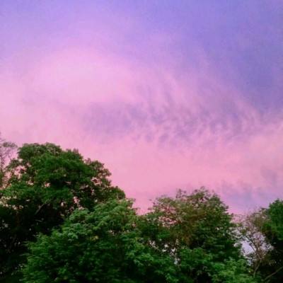 育秧达六成半 全国早稻生产全面展开