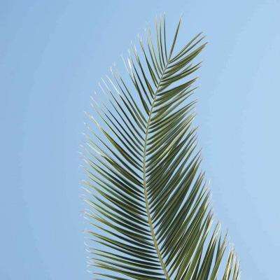 女员工“控诉”信达证券研究所所长猥亵，发生了什么？