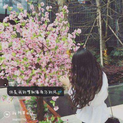 科技赋能秸秆综合利用