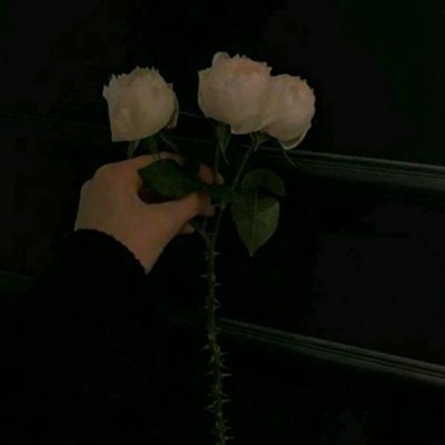 构建跨国公司在华发展新范式——...